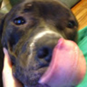 Meet your Posher, Carolyn